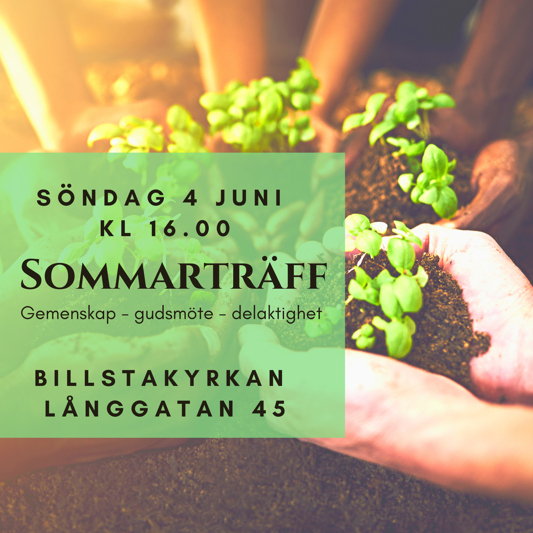 Sommarträff 2023-06-04