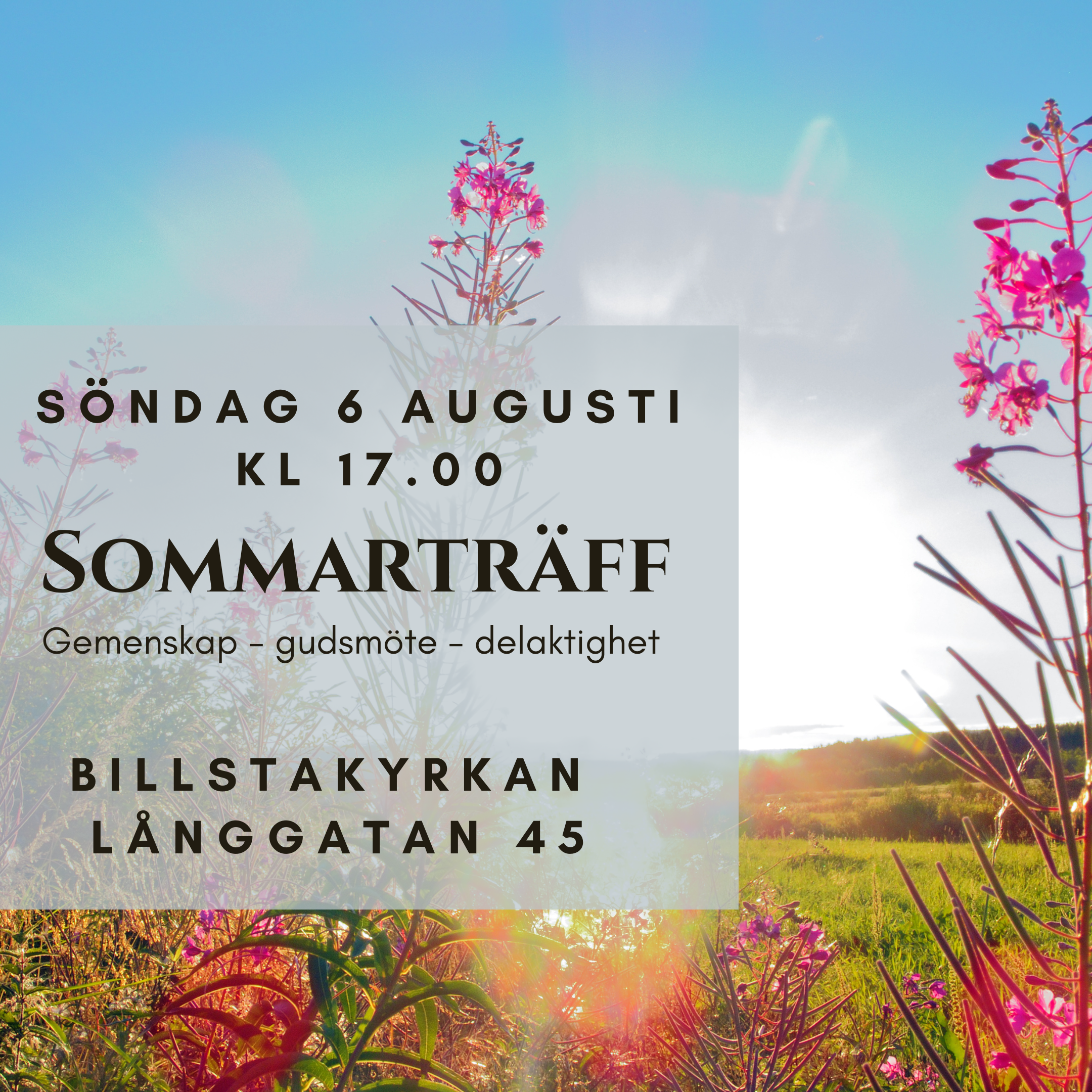 Sommarträff 2023-08-06