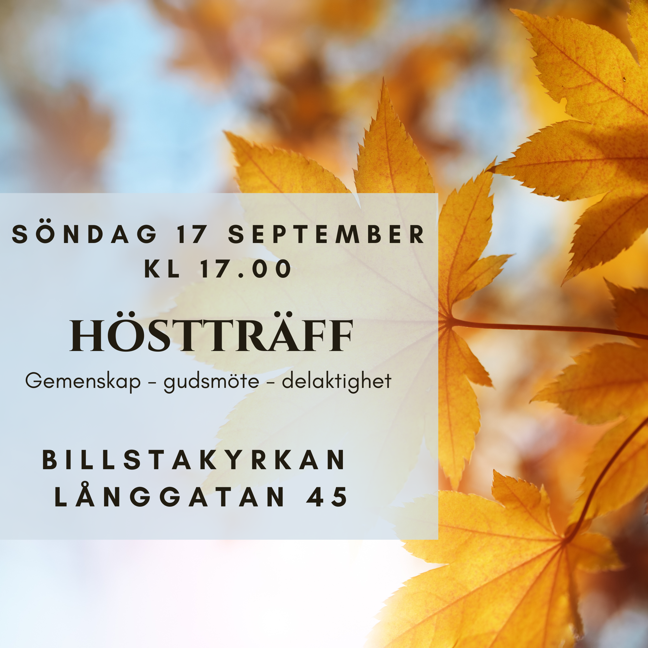 Höstträff 2023-09-17