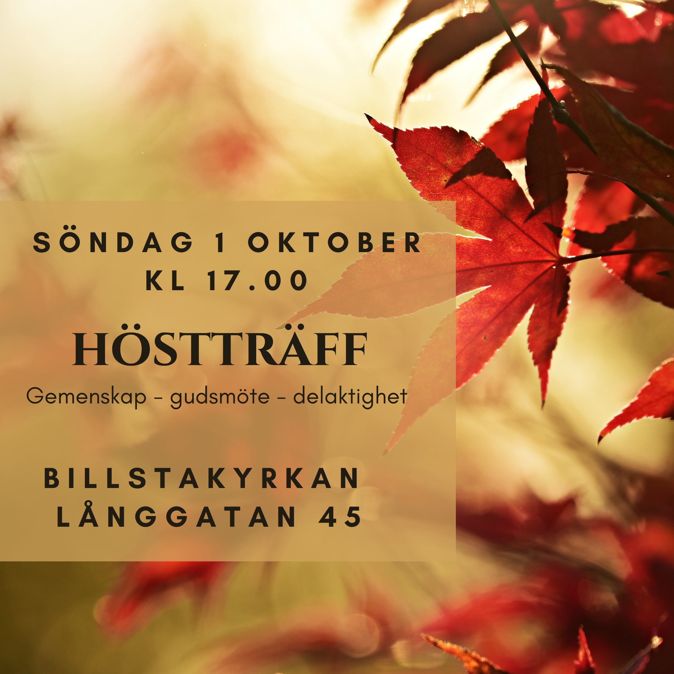 Höstträff 2023-10-01